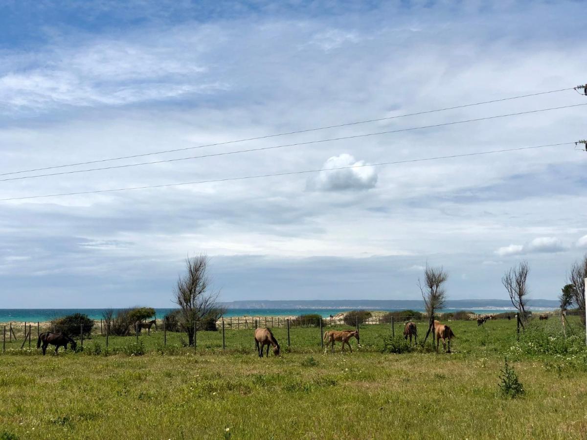 Apartamento Aretusa El Velero Zahara de los Atunes Exterior foto